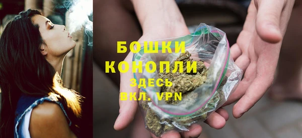 дмт Лагань