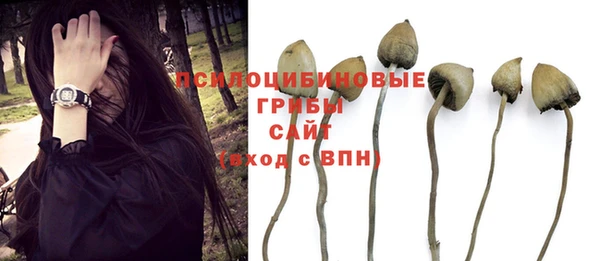 гашик Лабытнанги