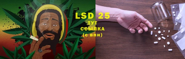 хмурый Ладушкин