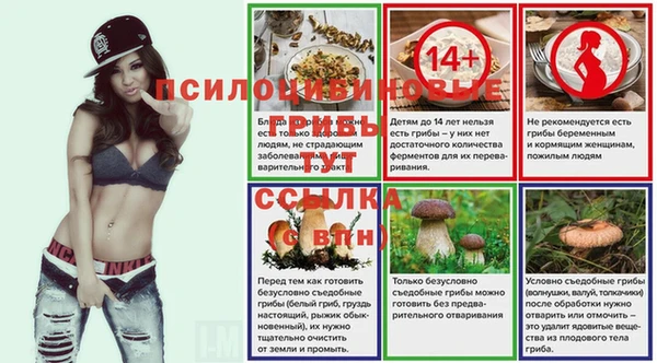 хмурый Ладушкин