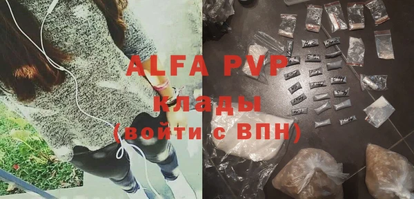 хмурый Ладушкин