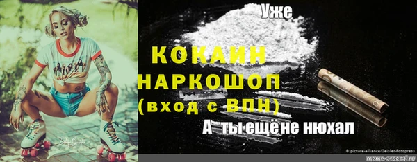 гашик Лабытнанги