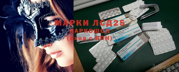 хмурый Ладушкин
