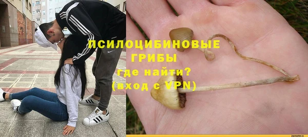 дмт Лагань